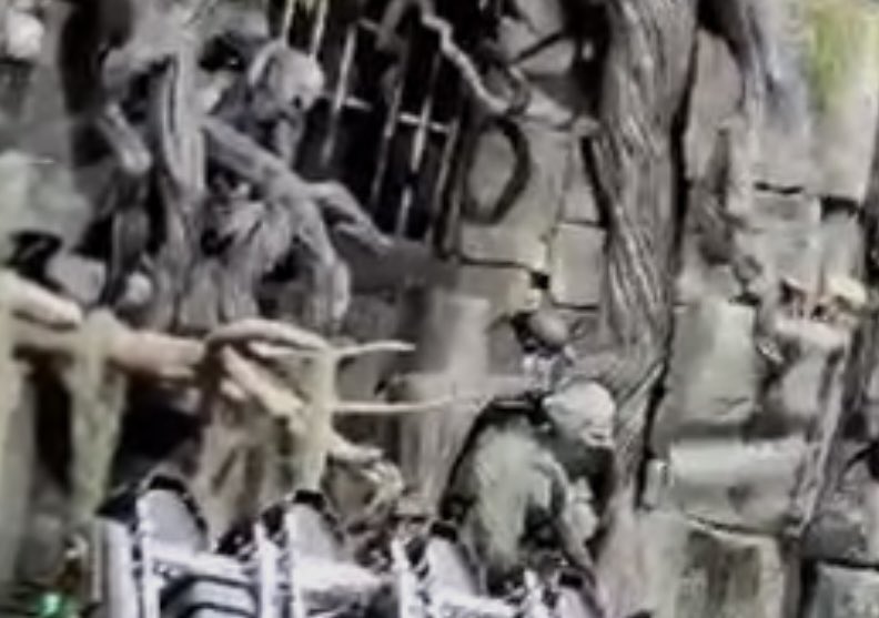 odell627's tweet image. #SpoilerAlert for Monsters Unchained: The Frankenstein Experiment!
.
.
.
.

Do I spy with my little eye @Mrfurious32821 and @erinnicolecline?!?! I KNEW I spotted Jack and Chance when I rode it (3 times 😅)!

*Not my photos, screenshots from a couple of YouTube videos to confirm*