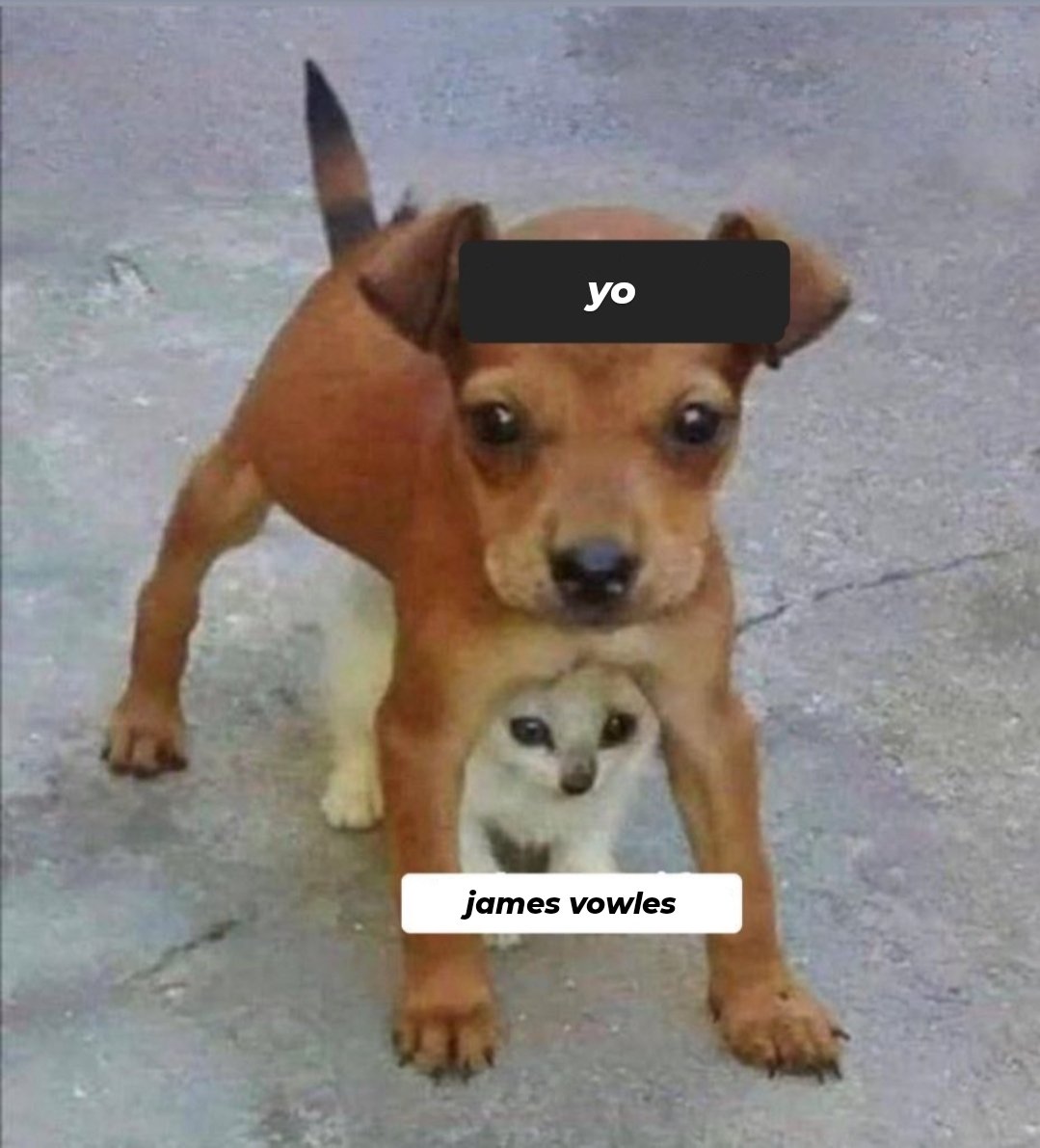 cómo van a bardear a james vowles manga de mierdas, a mí no me gustan que me jodan