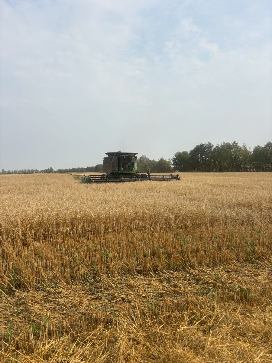 Oats, wheat, peas done. Now to focus on finishing swathing this canola. Looking forward to not pulling triple duty and getting a couple more hours of sleep.