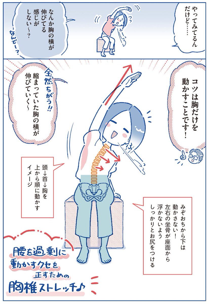 腰痛治療の世界的名医に教わった👨‍⚕️
腰痛に効くストレッチ　胸周り編まとめ（0/6）

💡骨盤の立て方は（6/6）へ💡

#1分腰ゆるめストレッチ