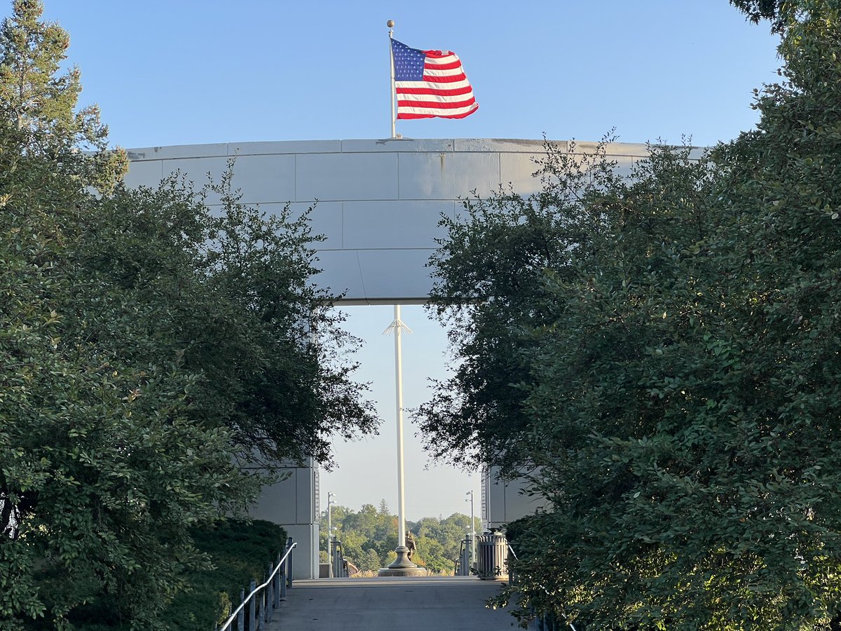 Dundee Neighborhood tweet media