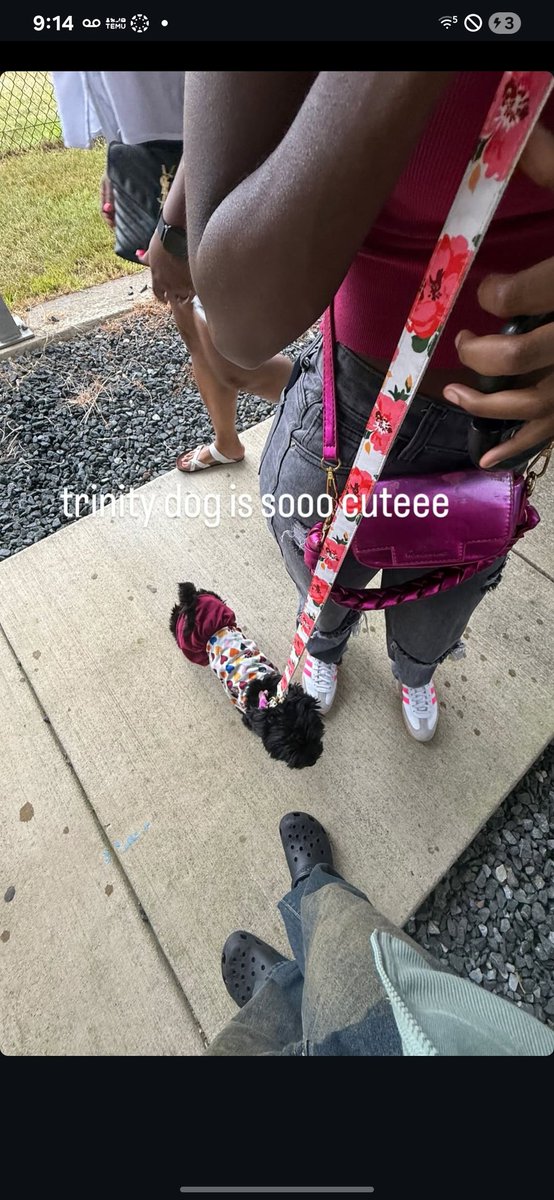5_startriniii's tweet photo. Im a dog mommy https://t.co/y49T1vxbc4