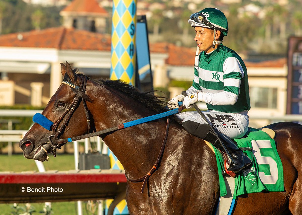 Benoit Photo tweet media