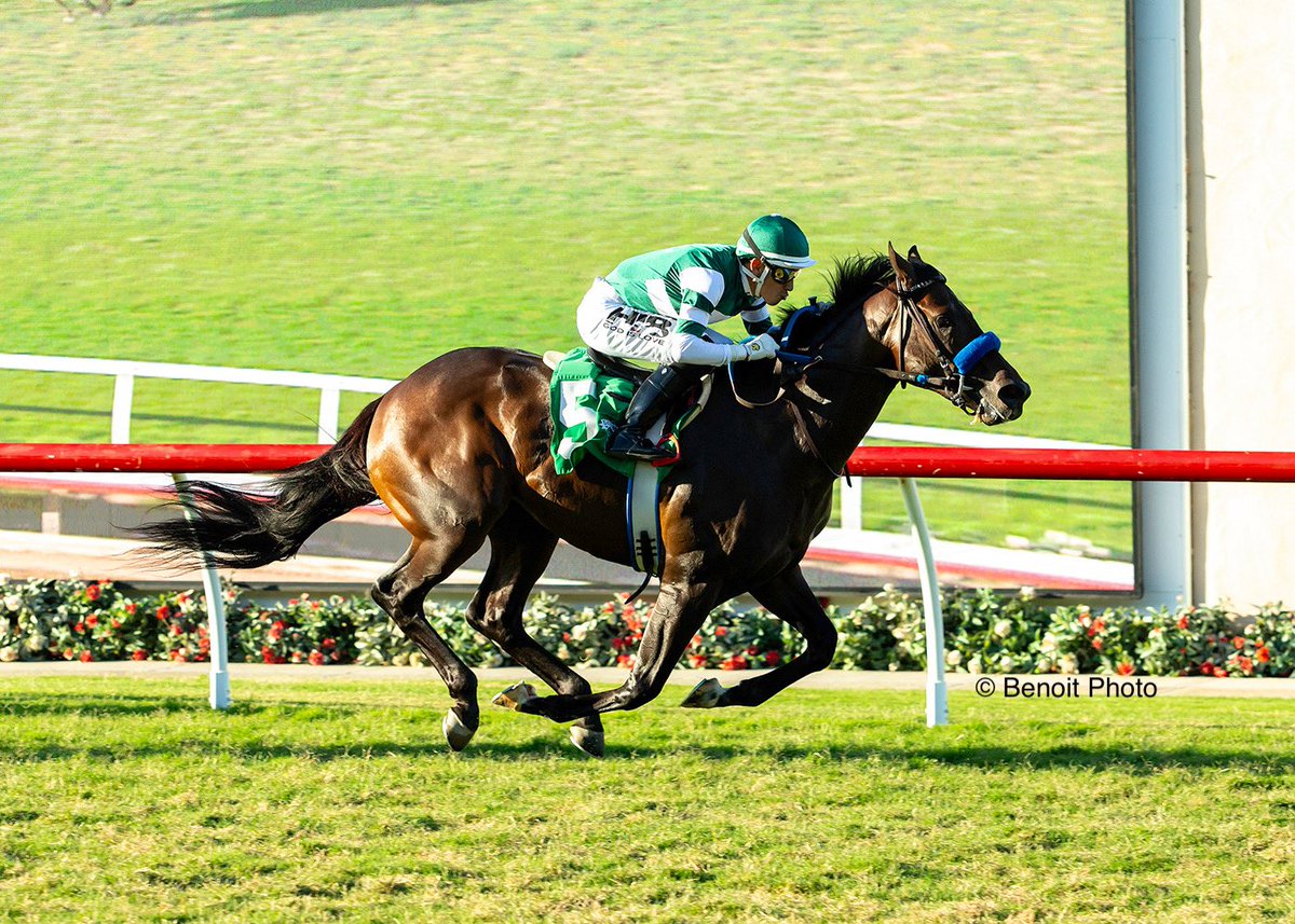 Benoit Photo tweet media