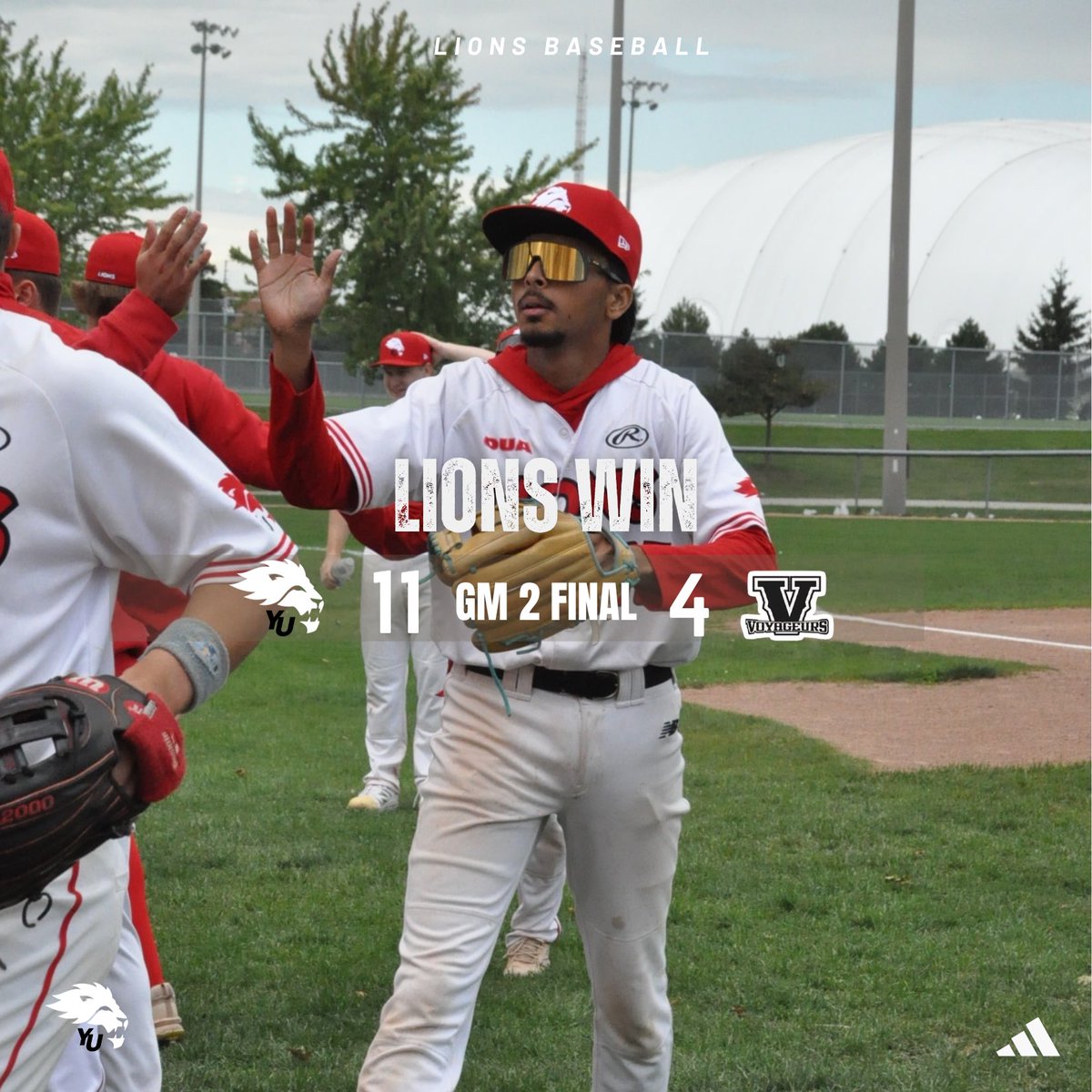 York Lions Baseball tweet media