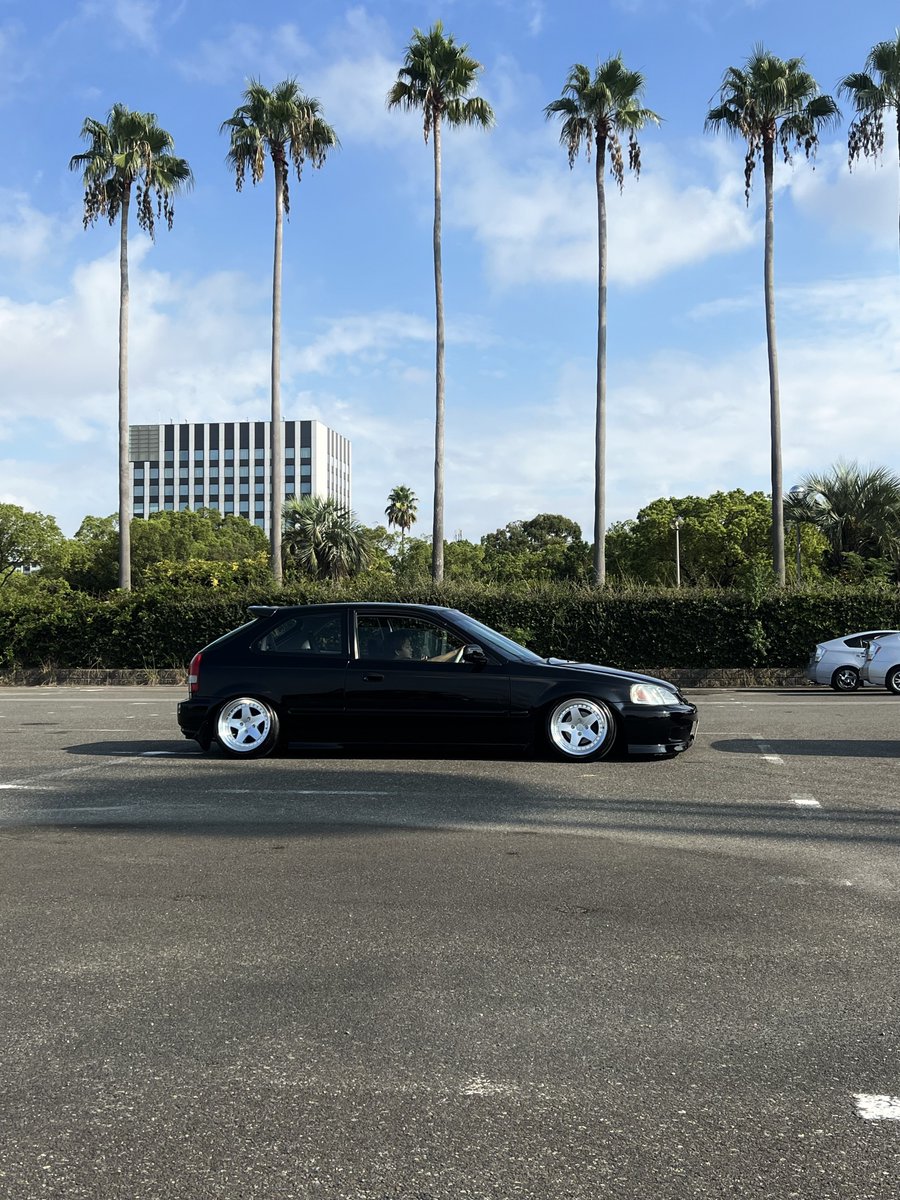 キャリィ tweet media