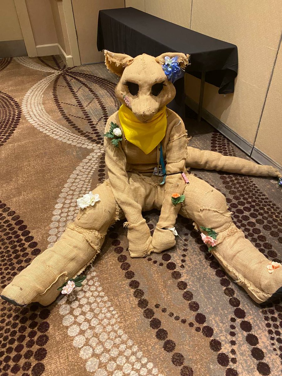 sit

📸<a href="/johnwallaby/">John Wallaby</a>