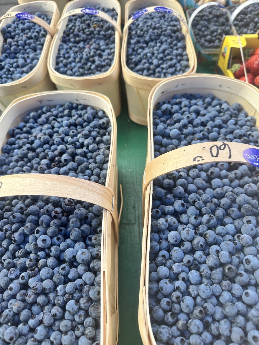 Blueberries &amp; Blockchain? What's the connection?↙️
Jurassic blueberries. A mining job.
And a curious mind that couldn’t let it go. 👀
<a href="/gregmarsh538906/">greg marsh</a>  Greg Marsh, president of <a href="/MorganicsAgTech/">Morganics Ag Tech</a>, wasn’t looking for superfruits. But on a mining site, he stumbled on a patch of