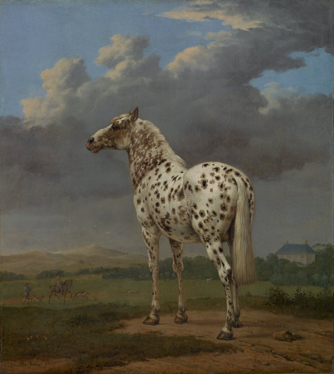 SeekAfterBeauty's tweet image. The &quot;Piebald&quot; Horse (c. 1654), by Paulus Potter