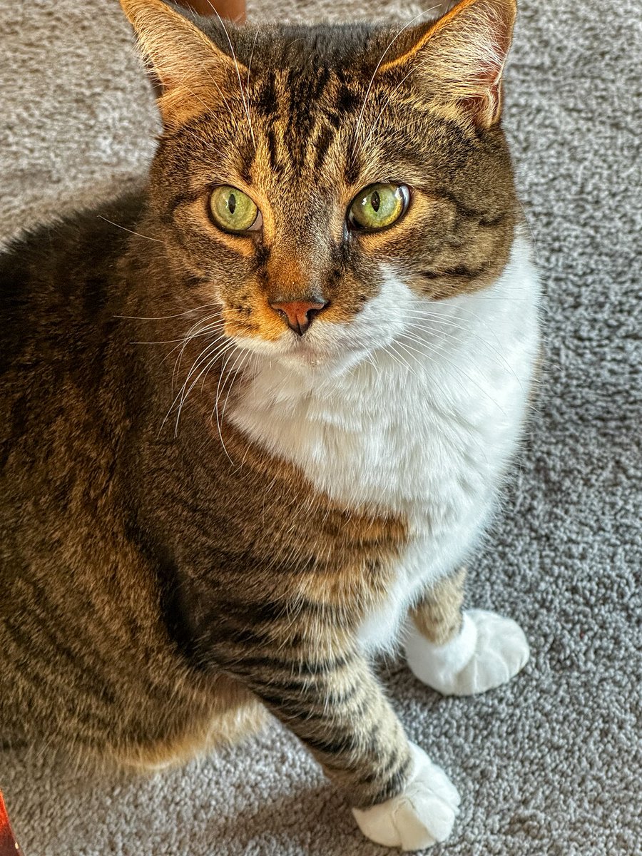 butterflies @ the state fair + my little man