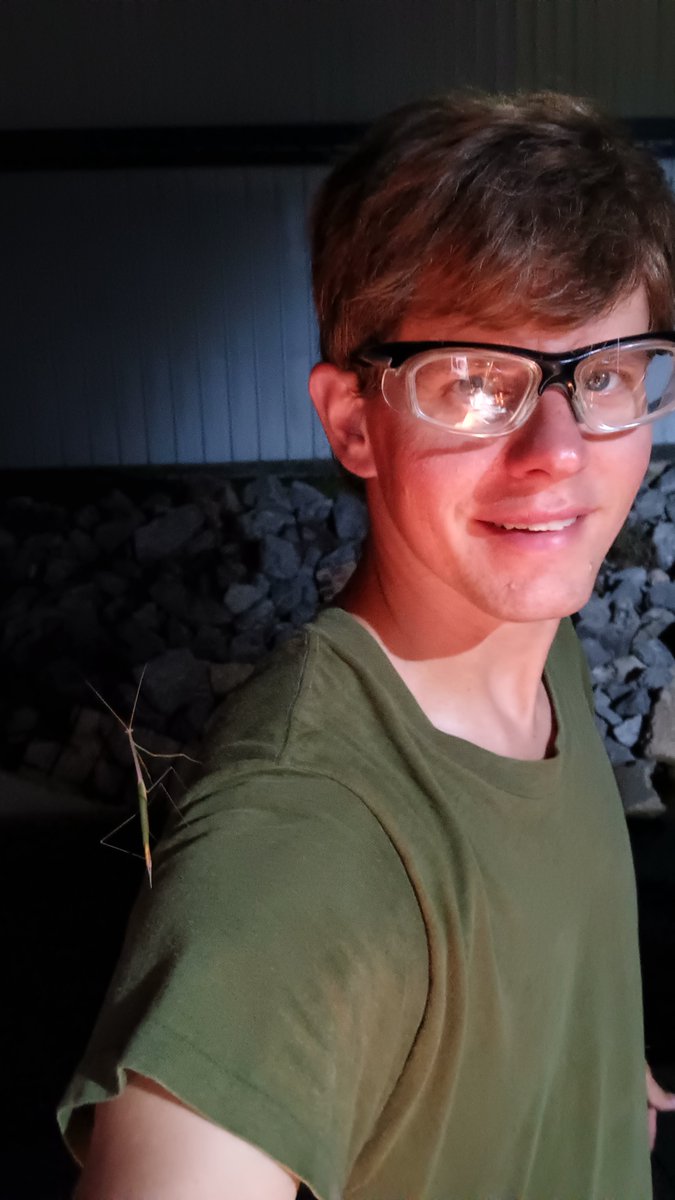 EngineerSailing's tweet image. Who needs a parrot when you can have a sailing stick bug

#stickbug #sailing #insect