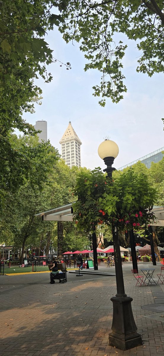 O_Carter_SEA's tweet image. Sunday strolls, local markets, and a little city magic ✨🌿🛍️#WeekendVibes #LocalLove #CityMagic #MarketDays #SlowLiving #UrbanOasis