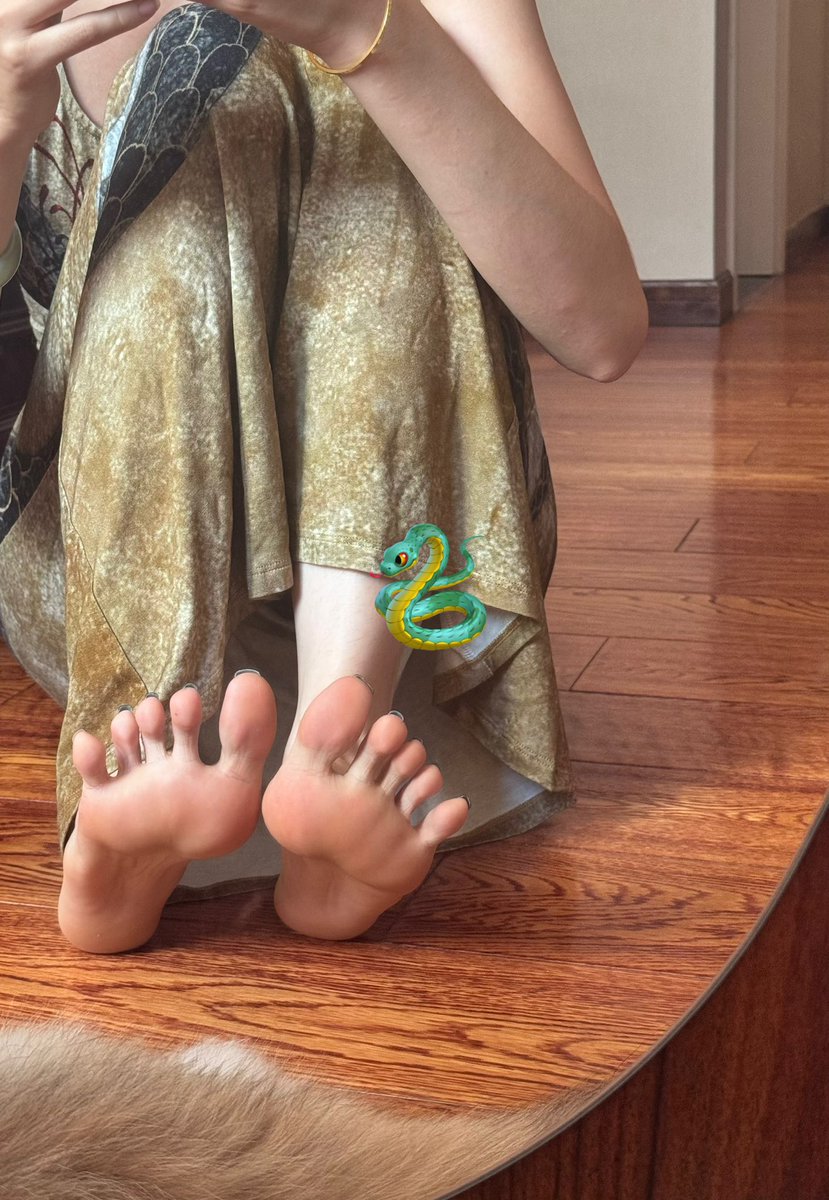 冲浪喵^🇨🇦 tweet media