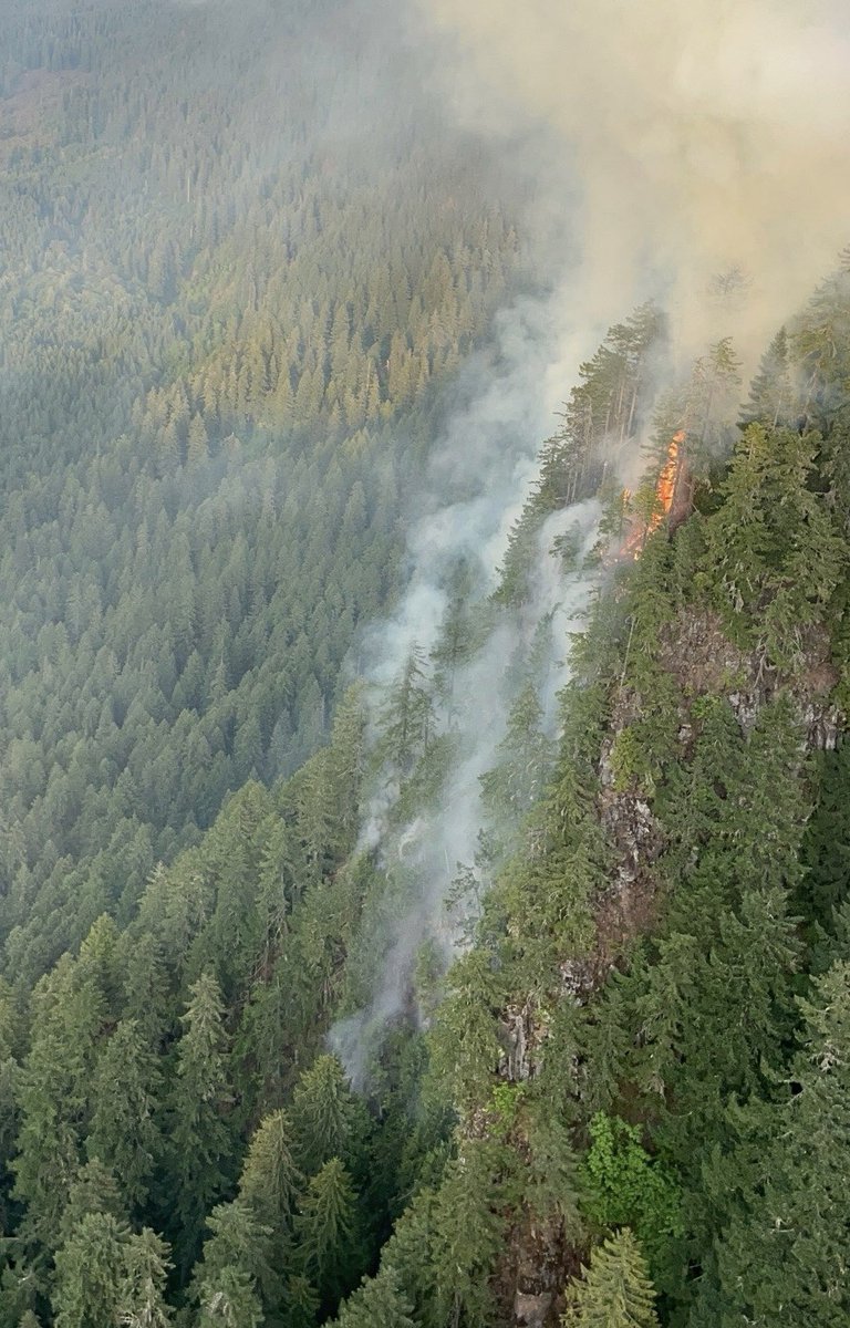 WillametteNatlForest tweet media