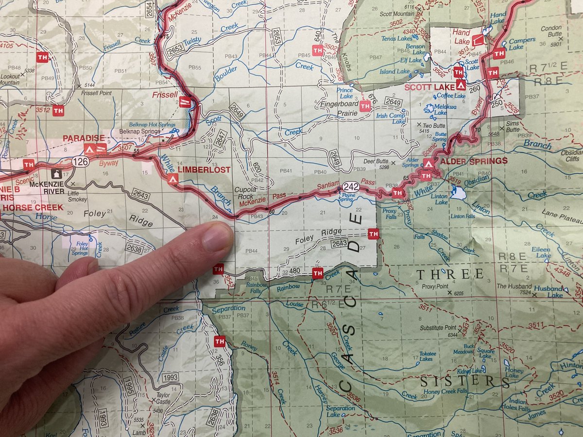 WillametteNatlForest tweet media