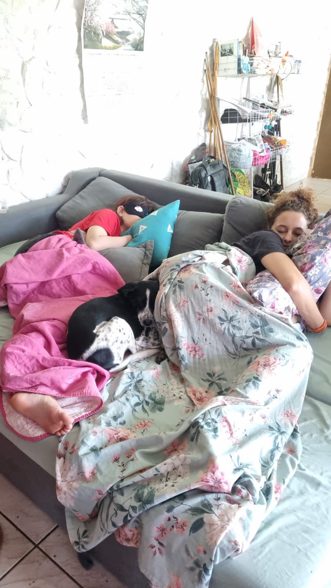 repsofadinhas's tweet photo. Padoca sendo a mais sofadinha. Tocaia ela será nossa, anotem https://t.co/M1tjFYiYnb