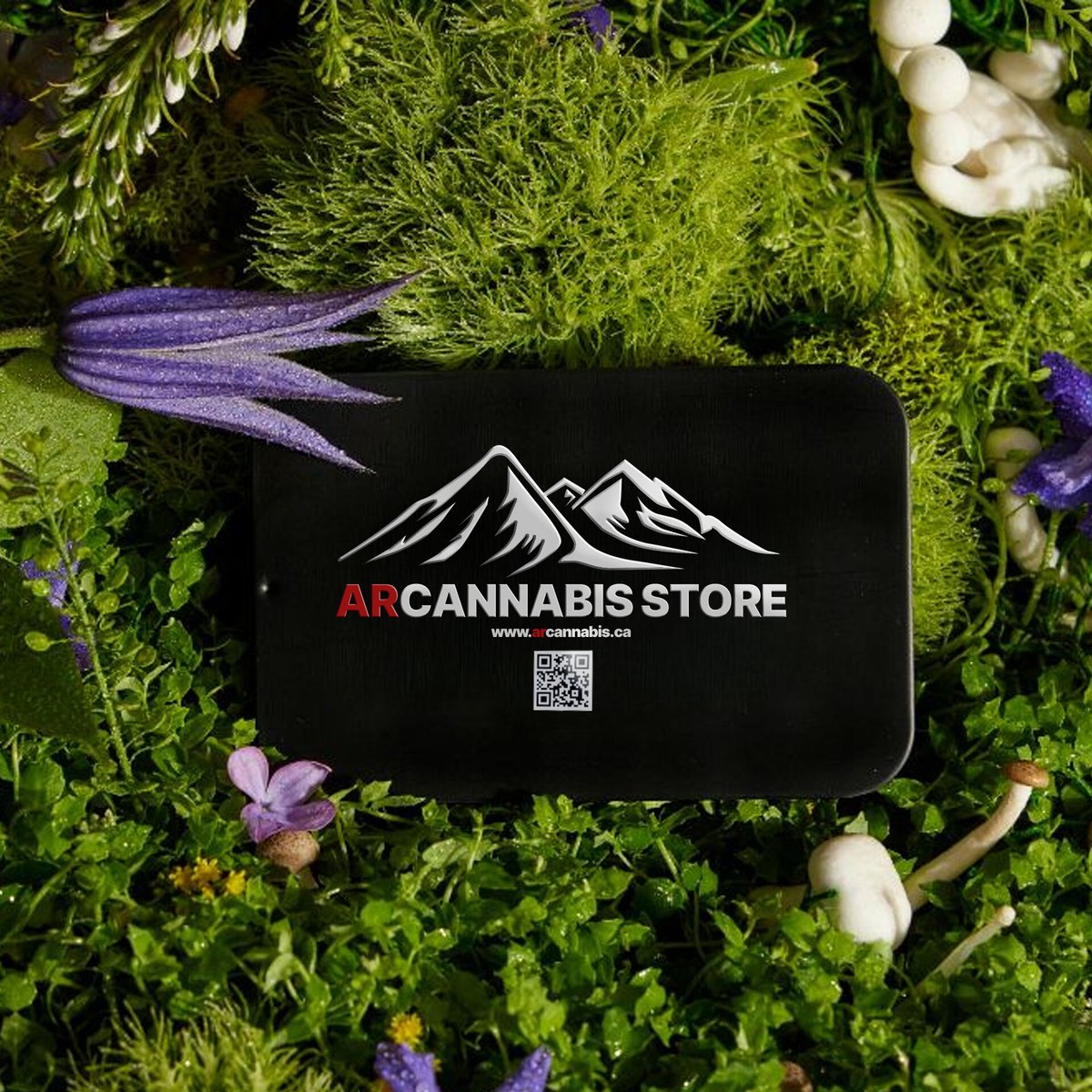 Bridging distance.
Turning roads into connections.

#vibes #chills