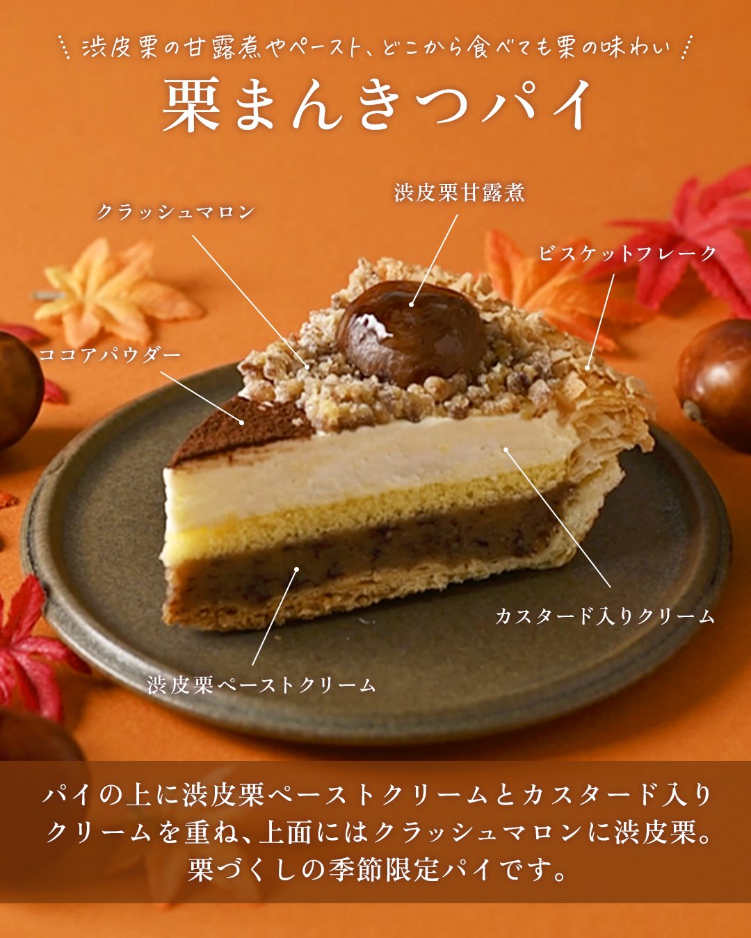 アイボリーナッツ貝台座 アイボリーナッツ貝台座