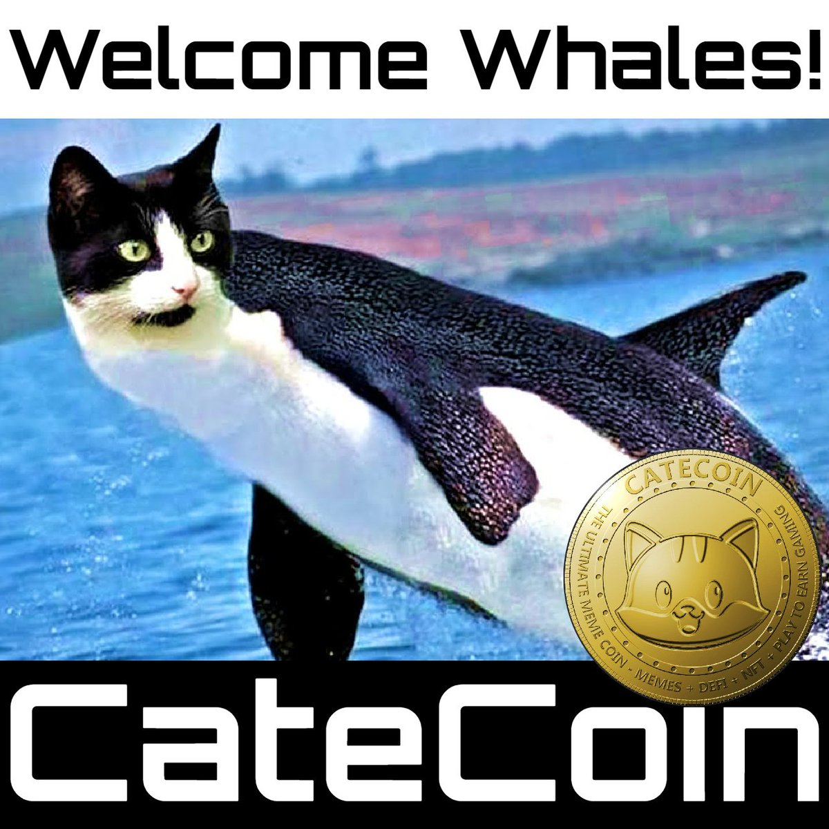 W.L. Cate tweet media