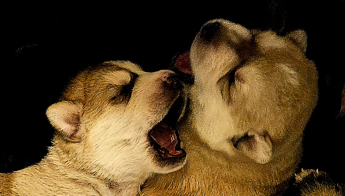 Camp_oftheNorth's tweet image. Nightly routine of cleaning the welping box, giving Lil'Mama a break, and pictures of puppies in a basket... 
#toocute #puppies