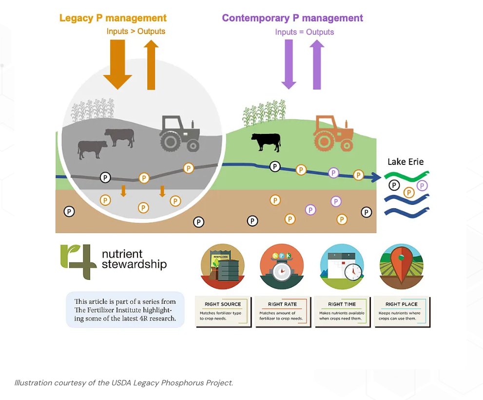 westapms's tweet image. The choices of the past still impact our waters today. Controlling invasive #aquaticplants demands long-term, proactive efforts to manage legacy nutrients &amp;amp; restore balance across watersheds.

sciencesocieties.org/publications/c…

#WAPMS #invasiveplants #aquaticweeds #aquaticplantmanagement