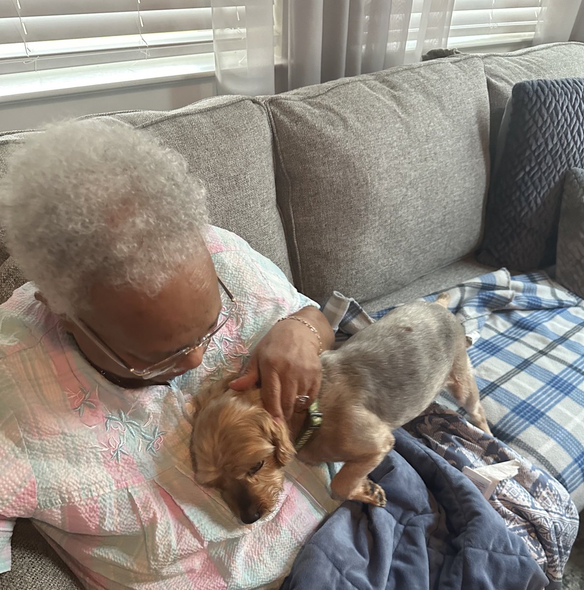 Julia Andrews tweet media