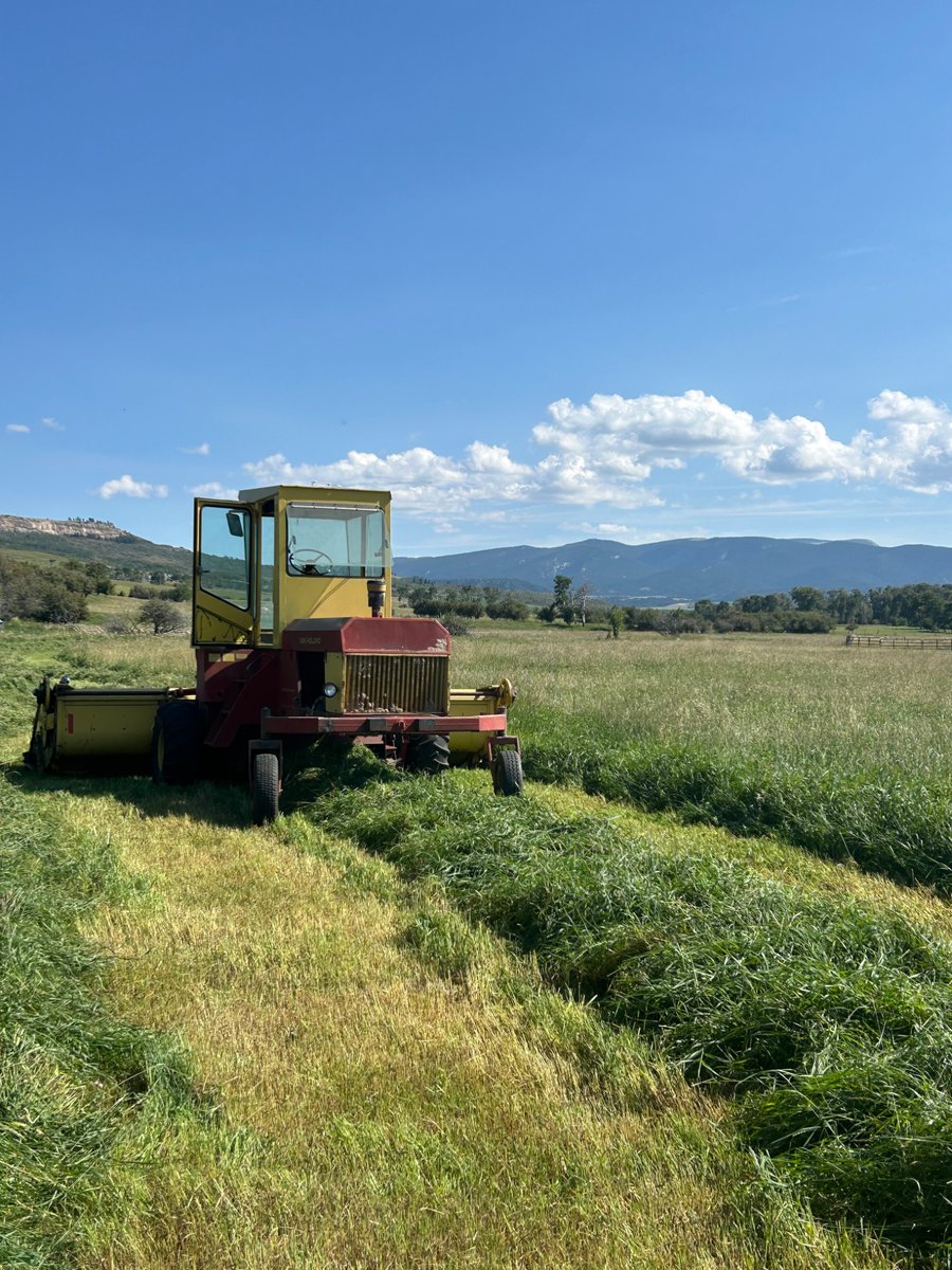 jason_nosajdeff's tweet photo. Do you remember those guys on the farm journal show, that got featured for getting out  their 60s vintage equipment to run it for fun. I think about them a lot. https://t.co/Ya1mw7zvO6