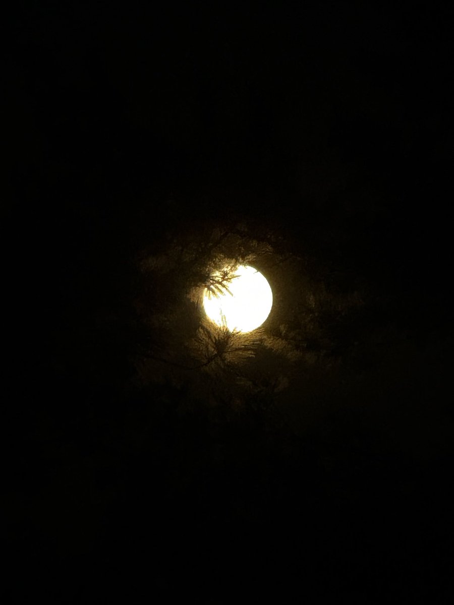 Mala Boara tweet media