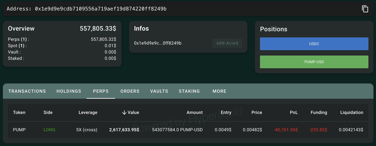 Screenshot of whale's $PUMP long position on Hyperliquid