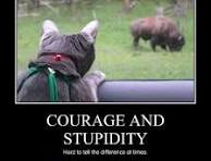 spicedherbs's tweet photo. @MerkadoBarkada #preit average down!!!! Long Term!!
yolo; fomo
"buy when everyone is fearful" ๐ https://t.co/0uFc5L8dev