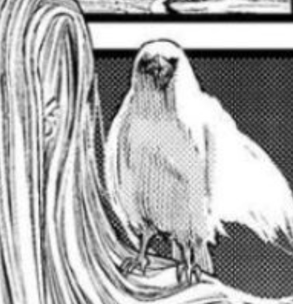 HUGINN フキン tweet media