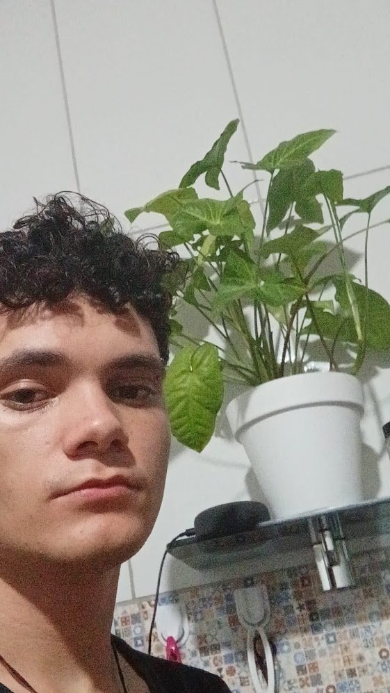 TodoDiaUmOtavio's tweet photo. Dia 116 - Otávio pranta 🪴 https://t.co/SAwRc3w2tH