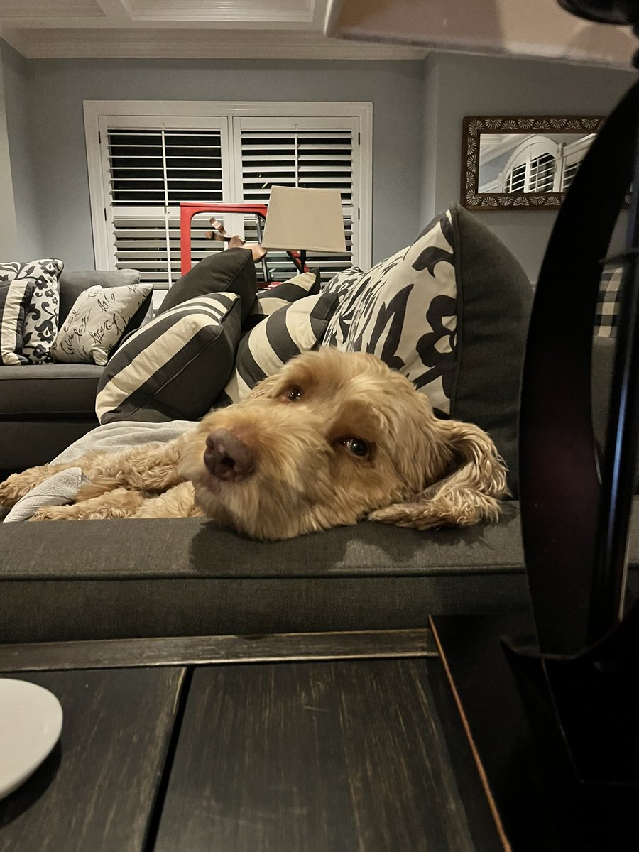 Linda Kelly tweet media