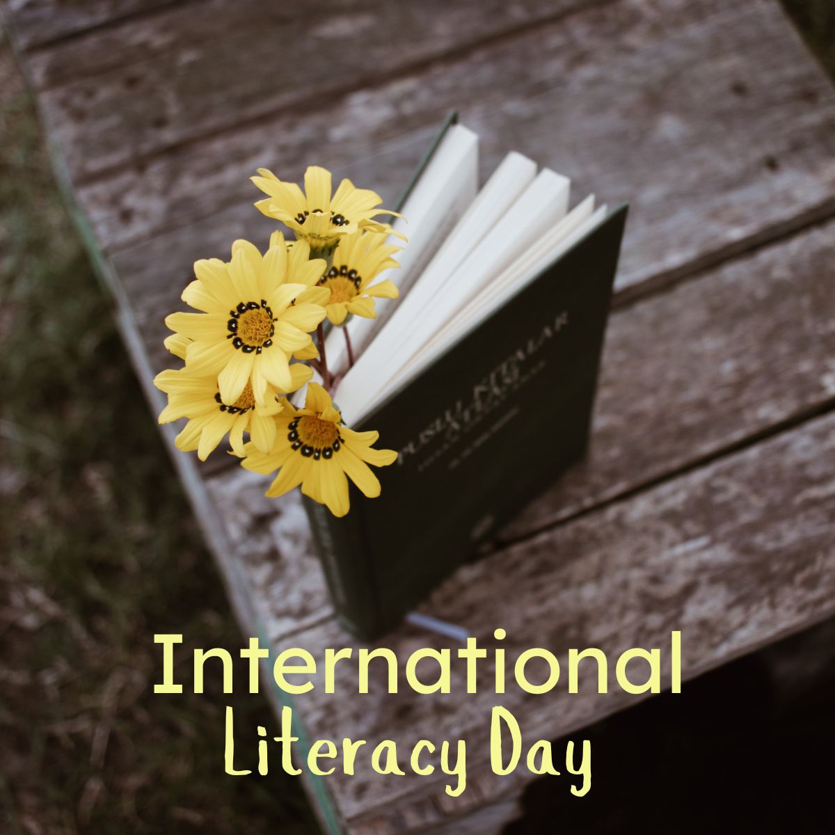 Happy International Literacy Day! Reading and writing opens doors to progress. Knowledge makes for a better future!
proninib.com
#LiteracyDay  #literacy #knowledge #power #education #educationmatters #reading #writing #digitalera #literacyday2025 #edchatie #educhat