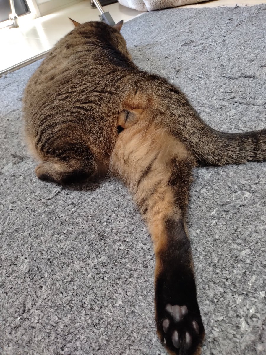 まぁ-ﾁｬﾝ (@makitan0110) / Posts / X