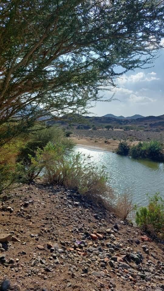 اصبحنا وأصبح الملك لله رب العالمين
لا إله إلا الله الواحد القهار