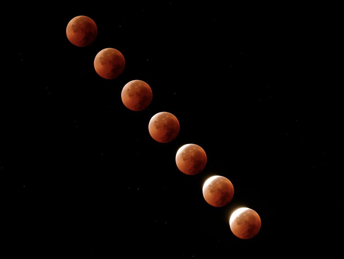栃木県小山市
#渡良瀬遊水地

約3年ぶりの皆既月食🌕
☁️は出なかったけど
今回の撮影はかなり苦戦しました🥲
色々な天体ショー観れたので
ヨシとします😅

2025年9月8日📸