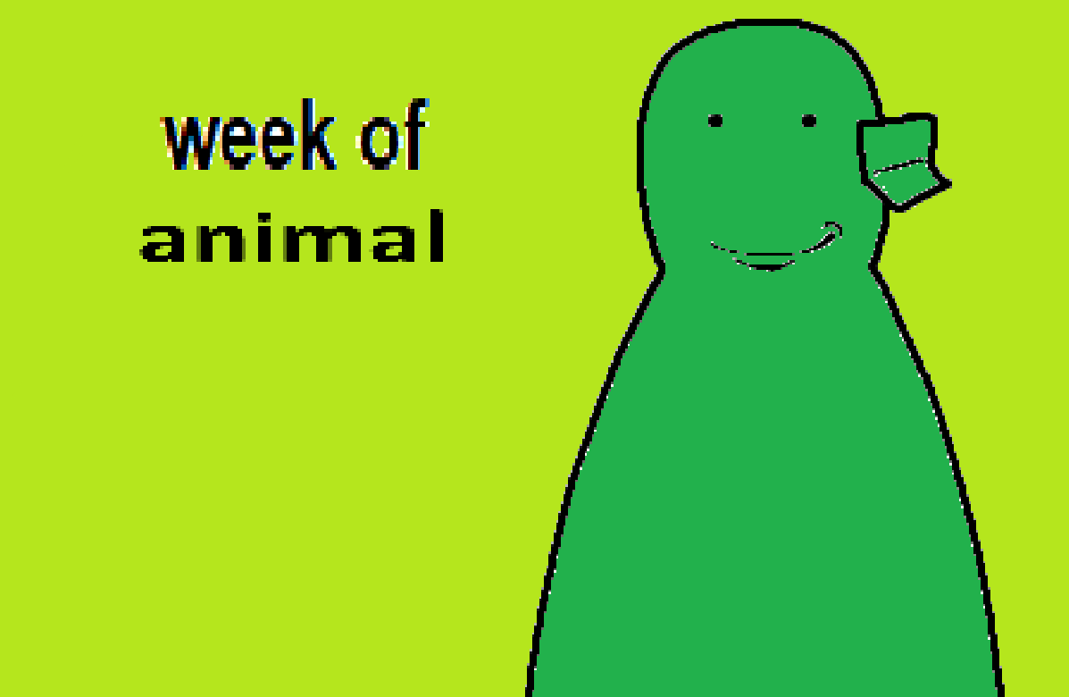 GreenChungus's tweet photo. #animalweek https://t.co/nMdudZnnPc