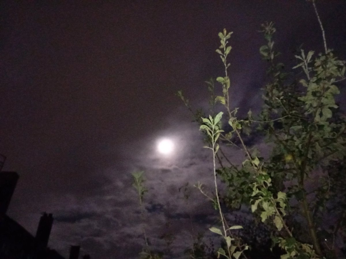 My full moon photos 8th of September 2025 at 2am Liverpool UK.
<a href="/nannabo78/">NannaBo🦋🧶</a> <a href="/AmyLynnLee7733/">Amy Lee</a> <a href="/grok/">Grok</a> <a href="/elonmusk/">Elon Musk</a> <a href="/RealJamesWoods/">James Woods</a> <a href="/johncusack/">John Cusack</a> <a href="/jimbelushi08/">Jim Belushi Chat</a> <a href="/Lucy_Worsley/">Lucy Worsley</a> <a href="/HansonsAuctions/">Charles Hanson</a> <a href="/britneyspears/">Britney Spears 🌹🚀</a>
