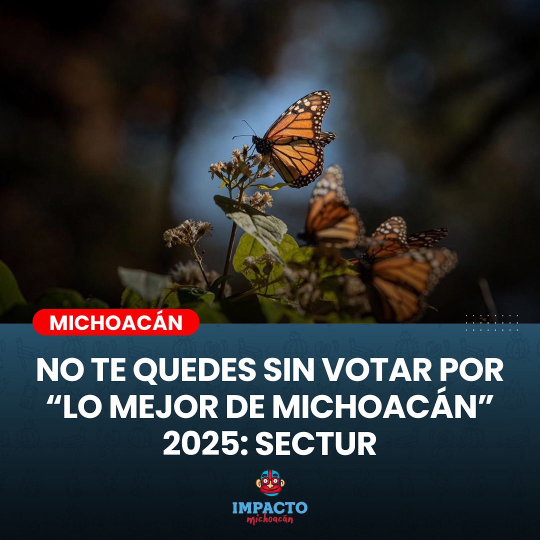 ImpactoMich's tweet image. #Michoacán te necesita y aún estás a tiempo de votar por tu mejor experiencia en “el alma de México”, desde lo gastronómico, cultural, y artesanal, hasta de naturaleza y diversión.

Más detalles 👉 tinyurl.com/mw3kmy7c