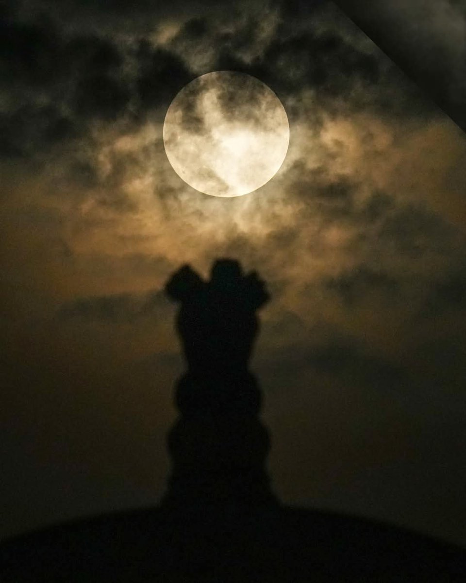 सपना tweet media