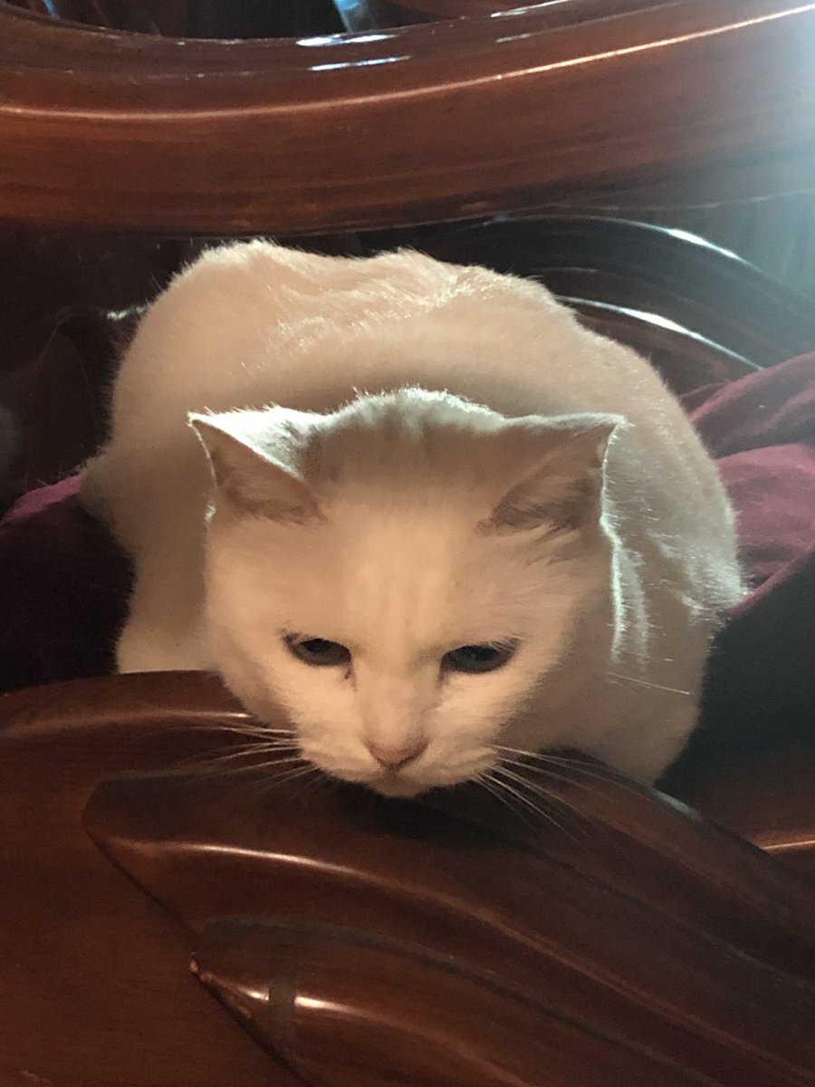 福利姬吊丝尸块姐分享的黄推图片4 - 网红私拍内容