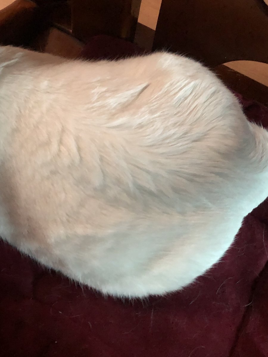 福利姬吊丝尸块姐分享的黄推图片3 - 网红私拍内容