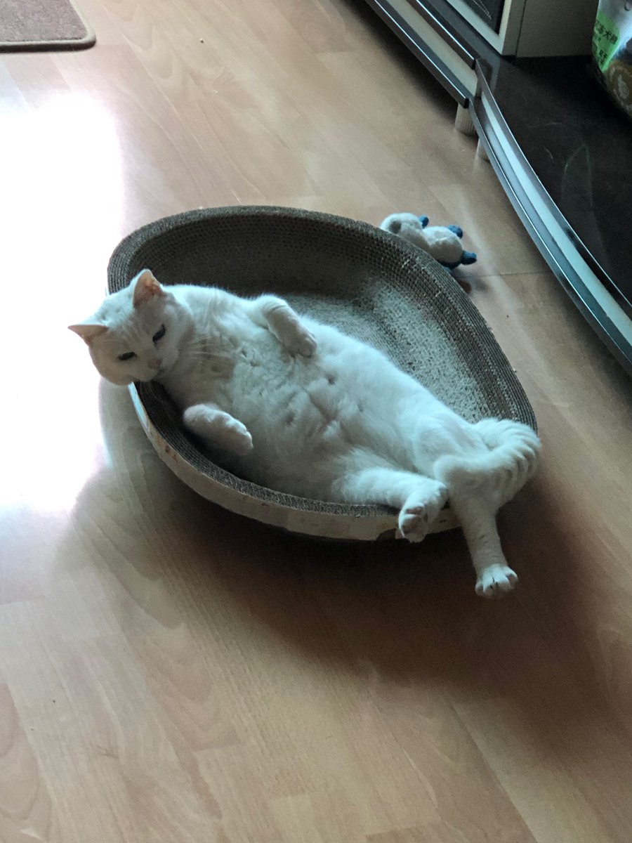 福利姬吊丝尸块姐分享的黄推图片2 - 网红私拍内容