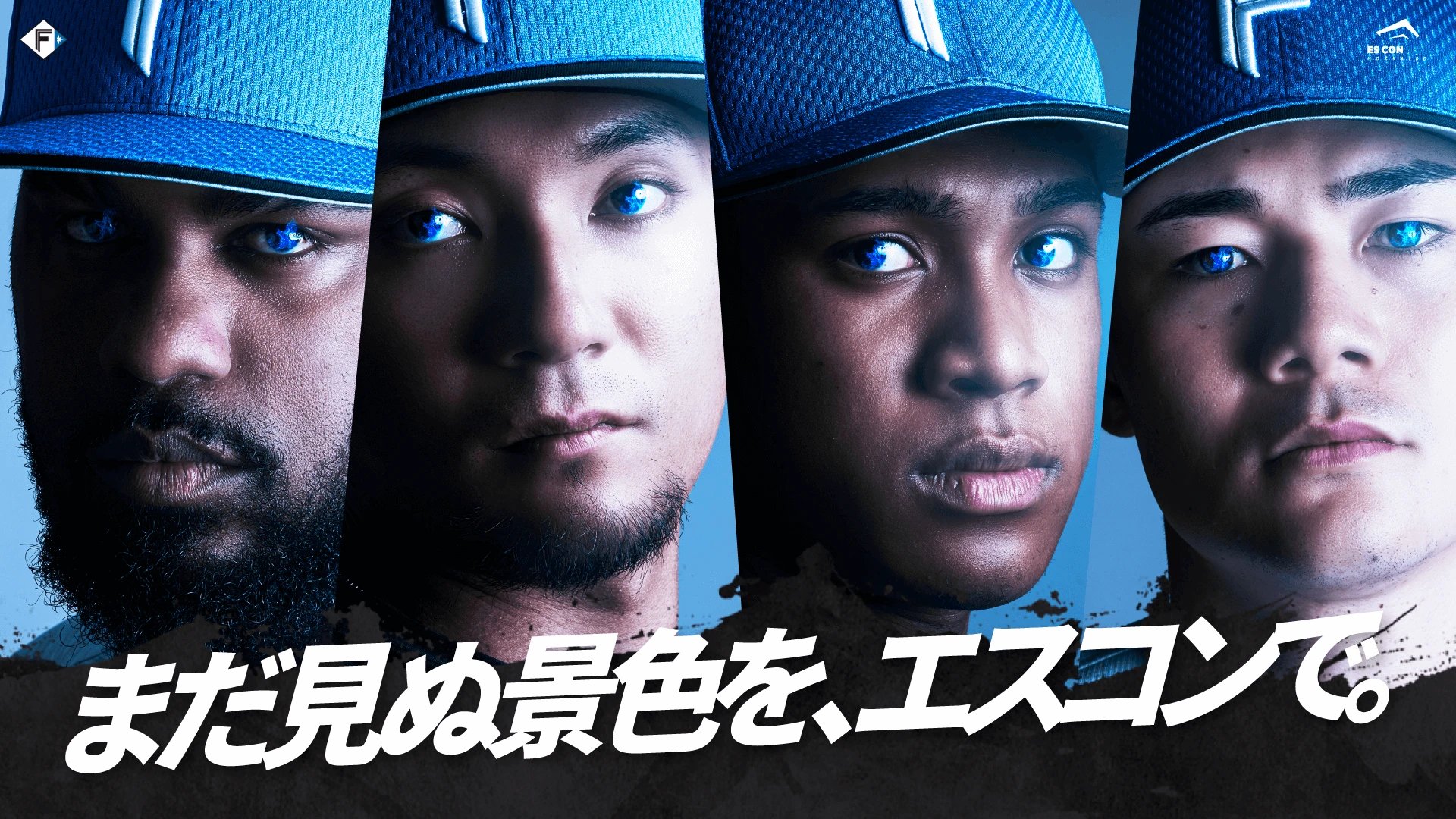 ファイターズ　まだ見ぬ景色をエスコンで　ステッカー13枚コンプリート 日本ハム 「まだ見ぬ景色を、エスコンで。」限定ステッカー13種
