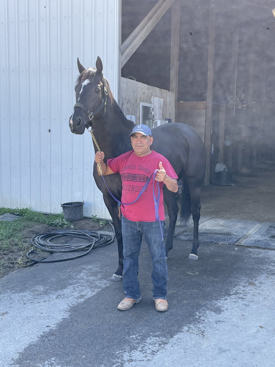 mshawb's tweet photo. Bitter sweet day as groom Armando Espinoza leads Stay Fabulous for the last time.  She always looked the paddock winner and retiring injury free after 27 races over 4 years.  I hope to send him one of her babies in a few years to receive the same excellent care. https://t.co/Y5k8QZNveT