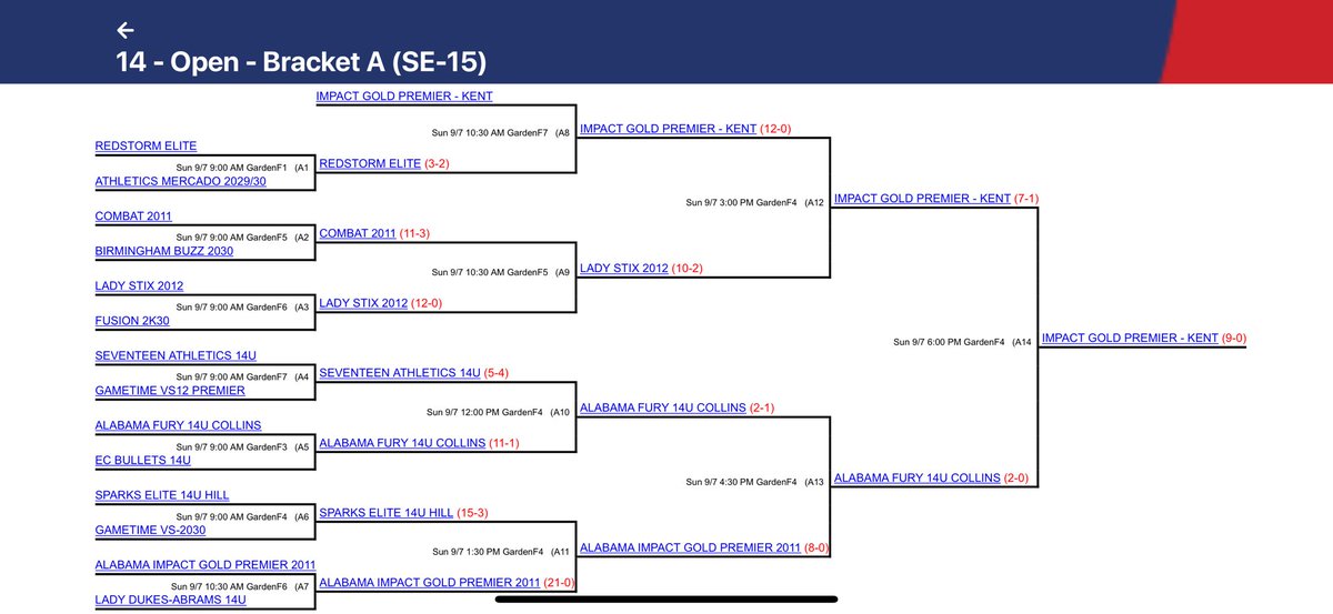 Impact Gold Premier- MS Kent 14u tweet media