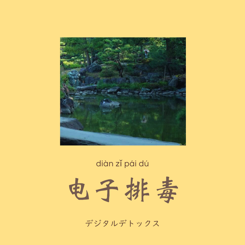 uchinesetrend's tweet photo. 日曜日はデジタルデトックス🌿 森で過ごした。たった2時間だけど、心がスッと軽くなった。 https://t.co/HwPt09pzmH