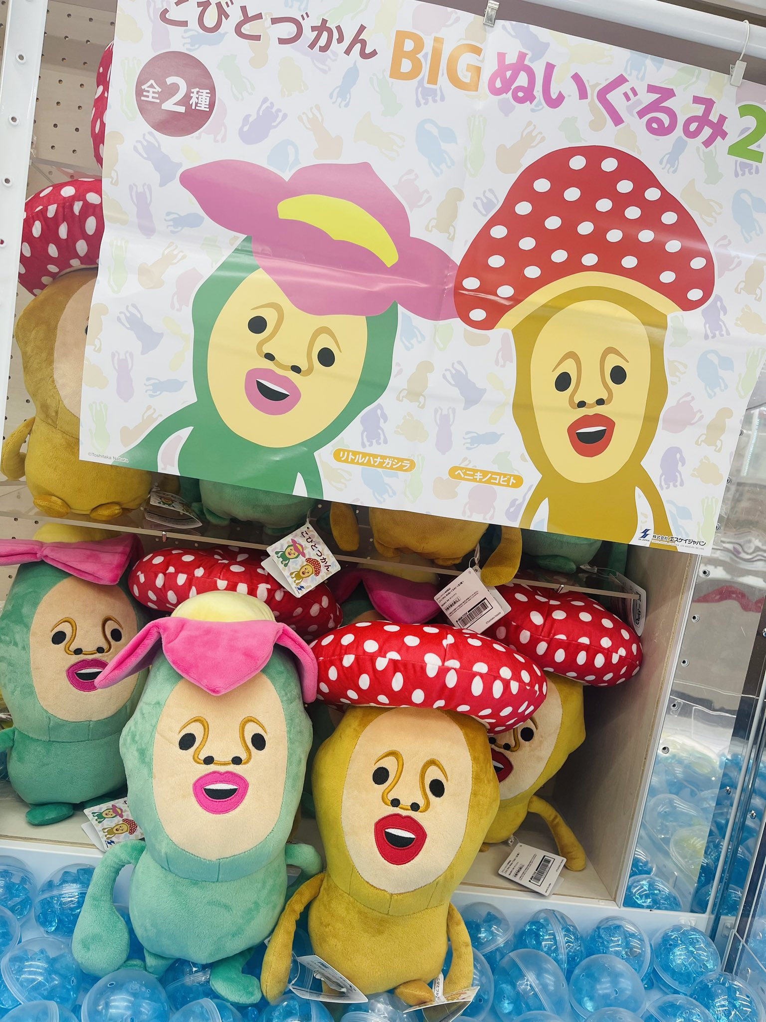 こびとづかん bigぬいぐるみセット ｱﾐｭｰｽﾞﾒﾝﾄﾊﾟｰｸ万代仙台泉店【別館】 on X: 