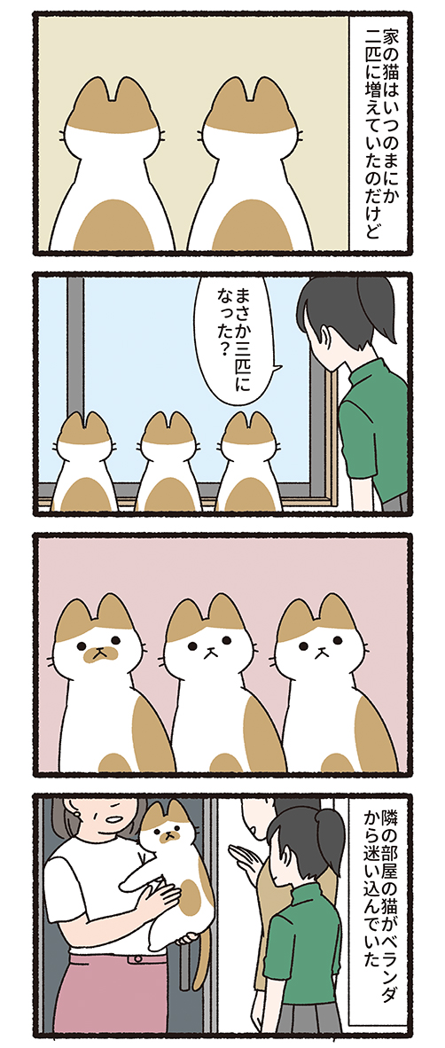 ねこもんすたー(2/3)
どっぺるげんがー、ねっしー、きゅうけつき 